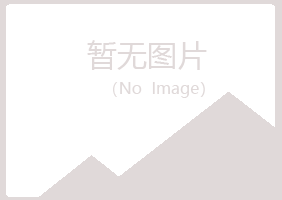 江都晓夏咨询有限公司